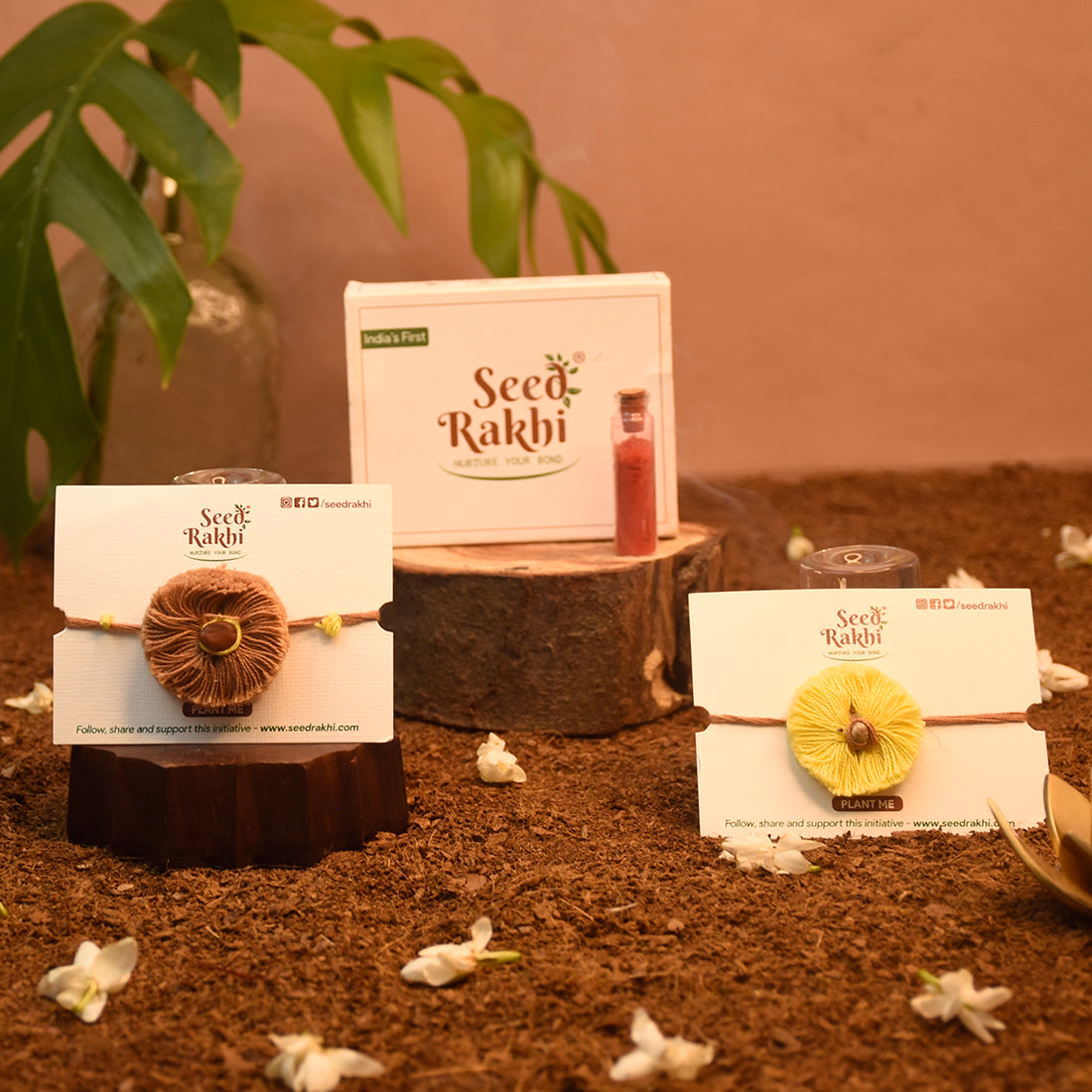 Sun & Maati 2 Seed Rakhis Basic Hamper