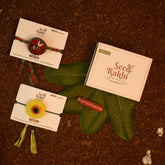 Amaltash & Brinjal And Purslane Seed Rakhi - Set of 2 Plantable Rakhi