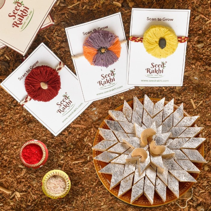 Yellow, Red and Jodhpuri Plantable Seed Rakhi Gift Hamper With Kaju Katli Mini Bites 125 gm