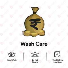 Money Shape Cushion & Seed Rakhi Combo - Set of 2