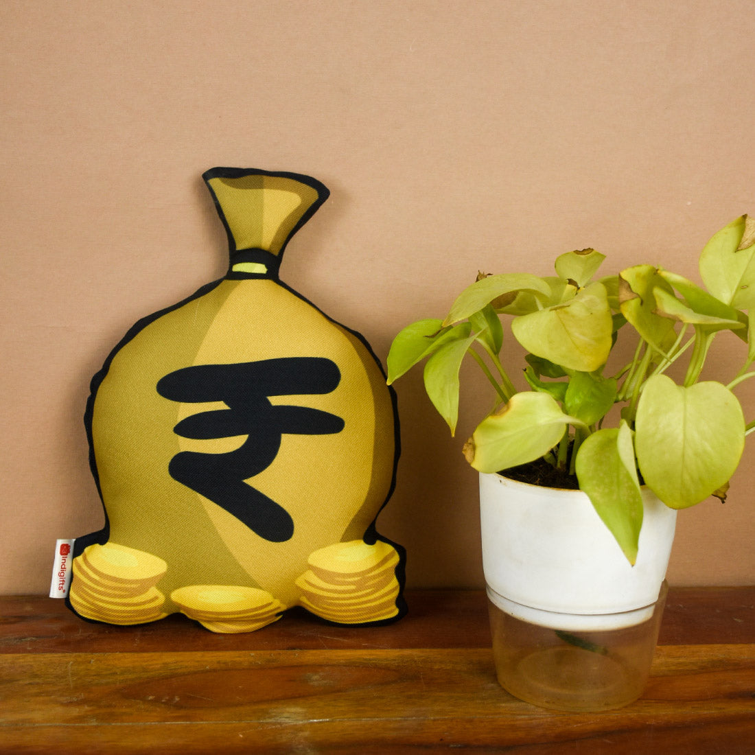 Money Shape Cushion & Seed Rakhi Combo - Set of 2