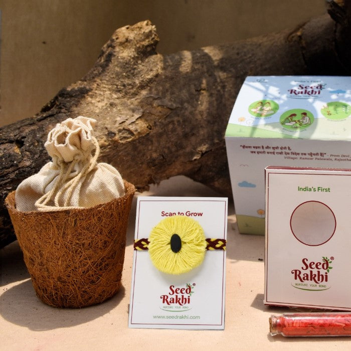 Yellow Seed Rakhi with Planter Gift Hamper (Seed: Turai)