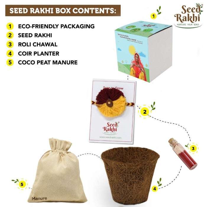 Saanjh Seed Rakhi with Planter Gift Hamper