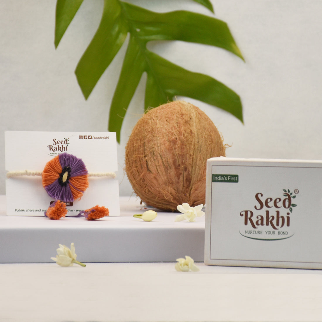 Jodhpuri Organic Seed Rakhi in Eco-friendly Box (Seed: Dhaniya Cholai)