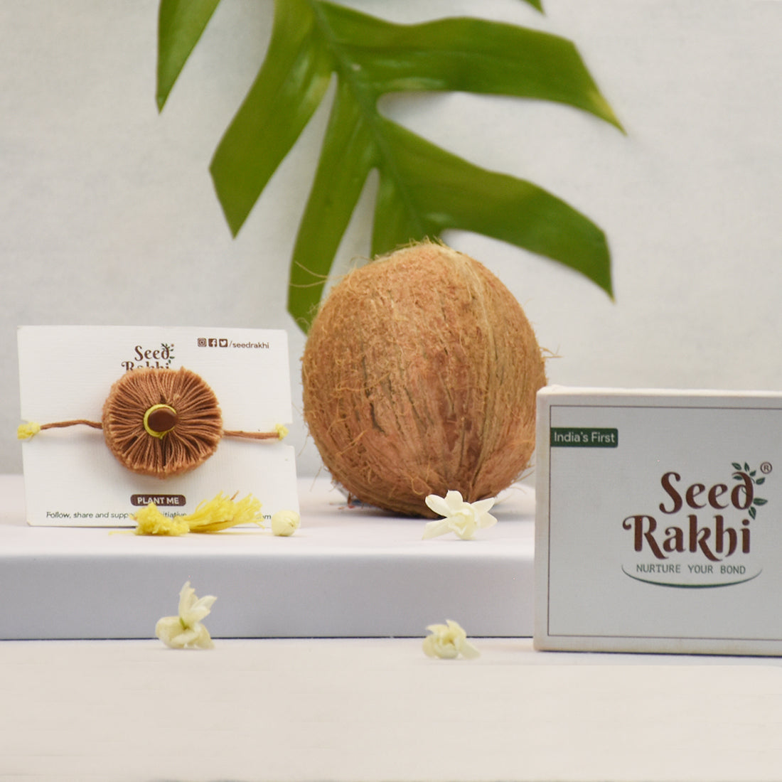 Moon Seed Rakhi Gift Hamper (Seed: Amaltash)