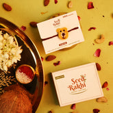 Teddy Bear Seed Rakhi Gift Hamper (Seed: Amaranthus, Purslane, Basil)
