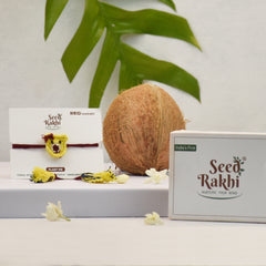 Teddy Bear with Bow Seed Rakhi Gift Hamper (Seed: Amaranthus, Purslane, Basil)