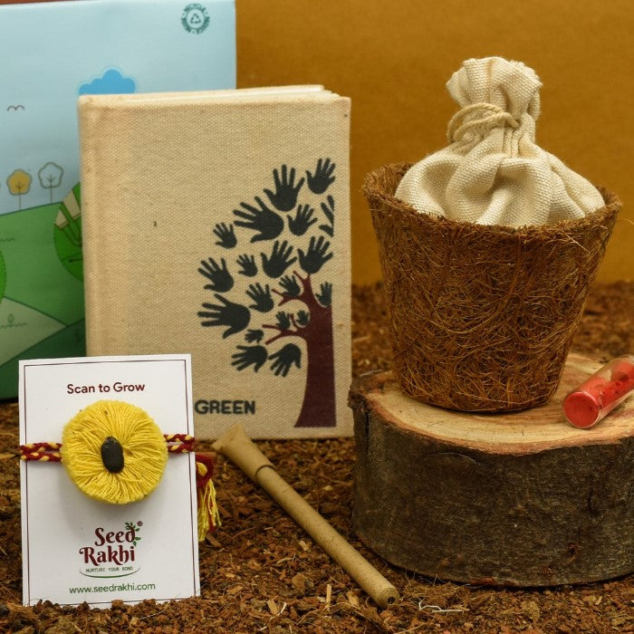 Yellow Organic Seed Rakhi with Planter and Diary