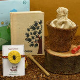 Yellow Organic Seed Rakhi with Planter and Diary