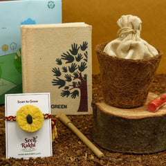 Yellow Organic Seed Rakhi with Planter and Diary