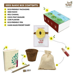 Yellow Organic Seed Rakhi with Planter and Diary