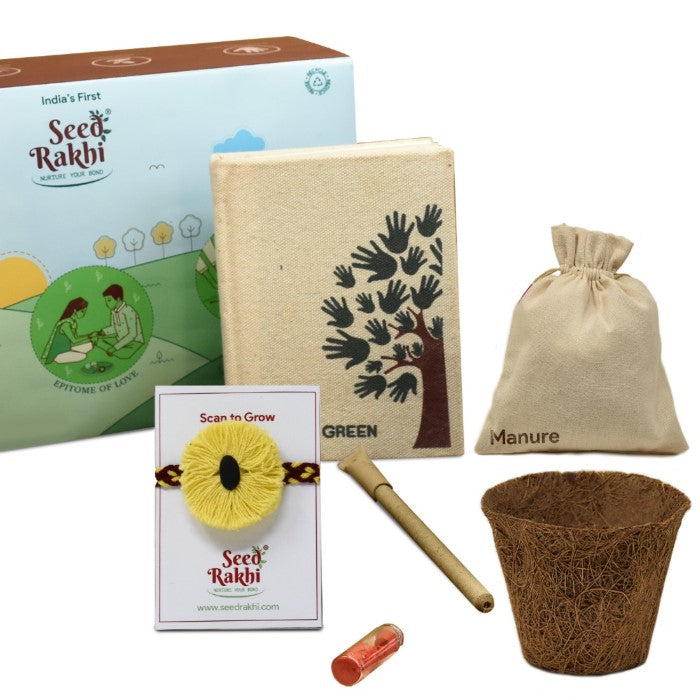 Yellow Organic Seed Rakhi with Planter and Diary