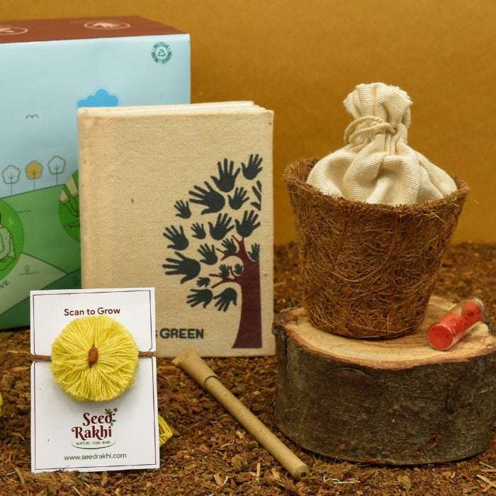 Sun Seed Rakhi Planter and Notepad Gift Hamper