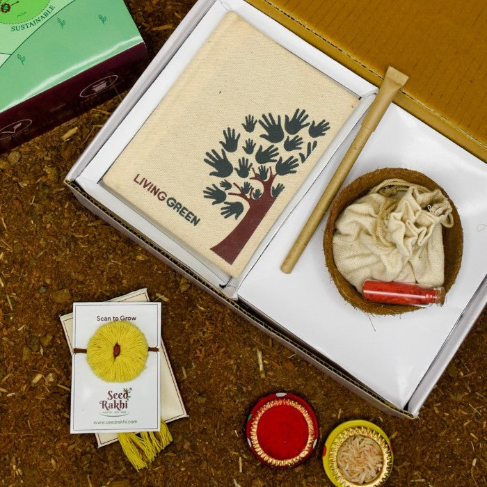 Sun Seed Rakhi Planter and Notepad Gift Hamper