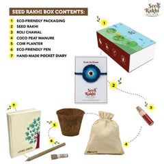 Neel Nazar Battu Seed Rakhi, Planter and Notepad Gift Hamper