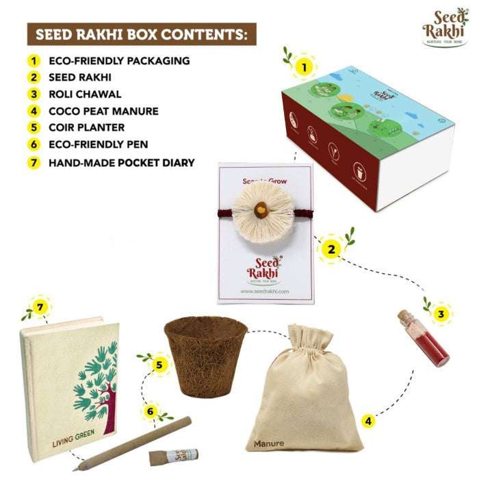 Dhavala Seed Rakhi, Planter, Notepad Gift Hamper