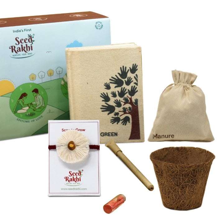 Dhavala Seed Rakhi, Planter, Notepad Gift Hamper