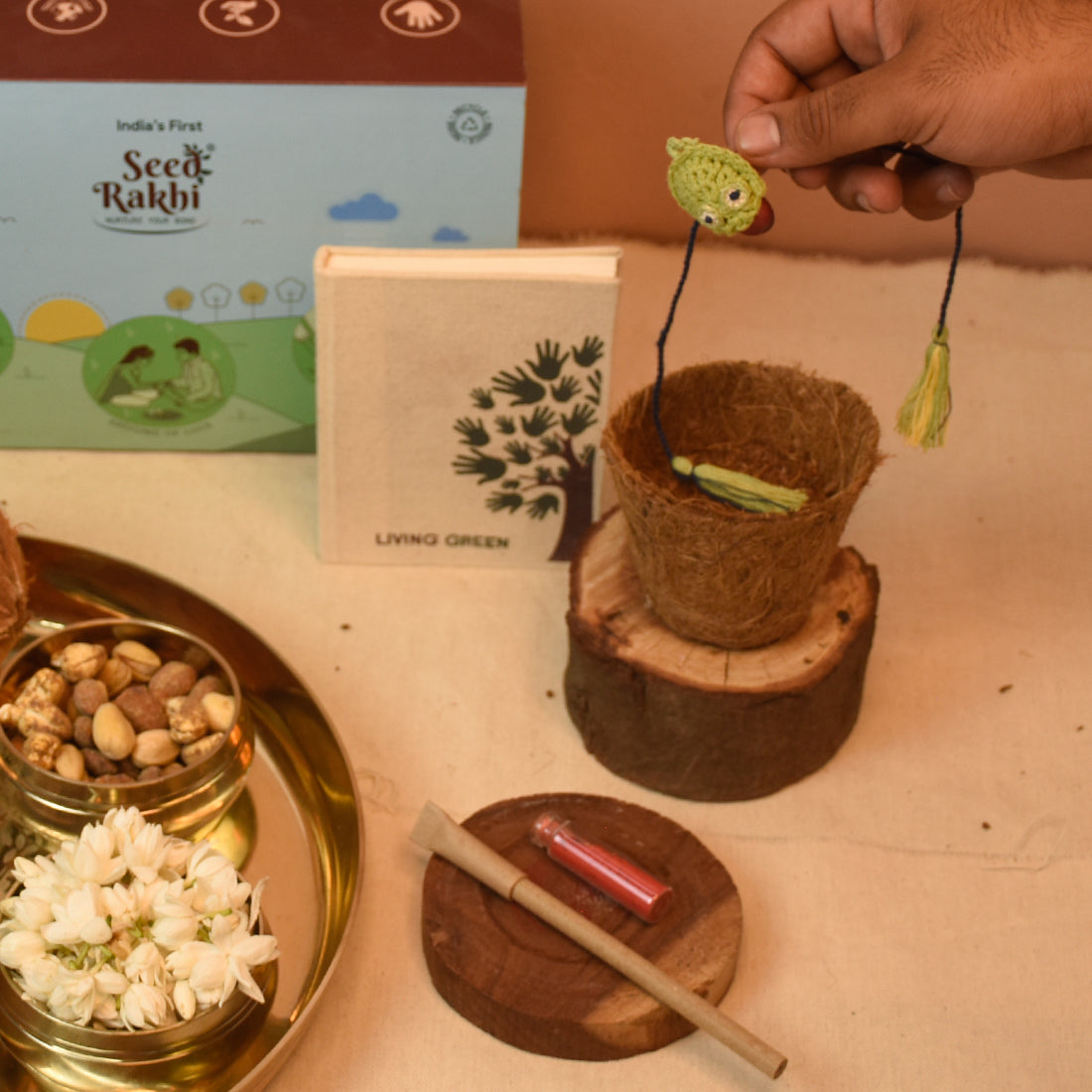 Eco-Friendly Plantable Frog Shape Seed Rakhi with Planter, 1 Diary & Pen