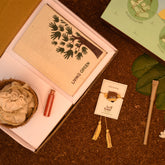 Bhindi, Amaltash And Brinjal Seed Rakhi - Set of 2 Plantable Rakhi