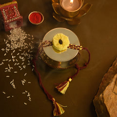 Yellow Seed Rakhi with Planter Gift Hamper (Seed: Turai)