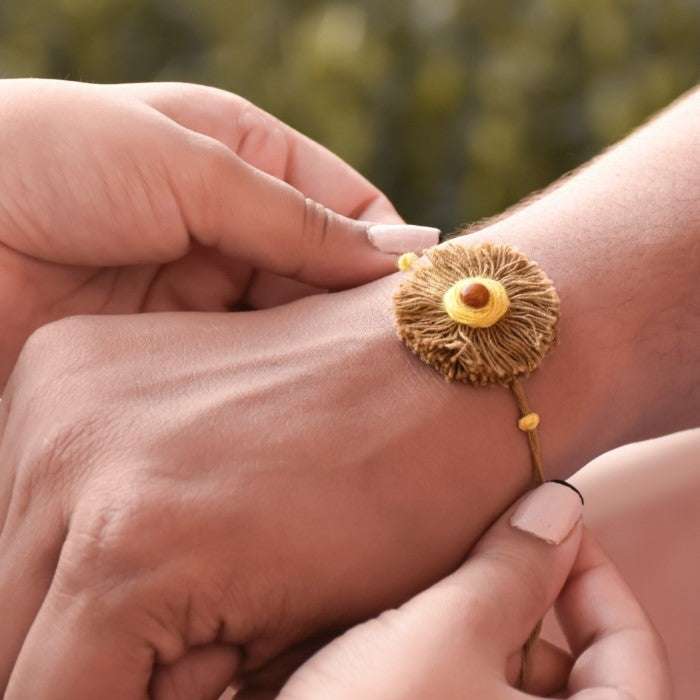 Dhavala, Teddy Bear, Teddy Bear with Bow, Swastika, Sun, Maati and Neel Nazar Battu Eco-friendly Seed Rakhi (Set of 7)