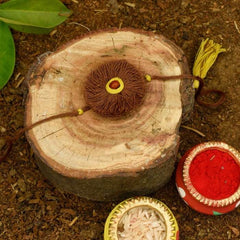 Dhavala, Teddy Bear, Teddy Bear with Bow, Swastika, Sun, Maati and Neel Nazar Battu Eco-friendly Seed Rakhi (Set of 7)