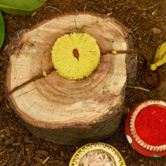 Dhavala, Teddy Bear, Teddy Bear with Bow, Swastika, Sun, Maati and Neel Nazar Battu Eco-friendly Seed Rakhi (Set of 7)
