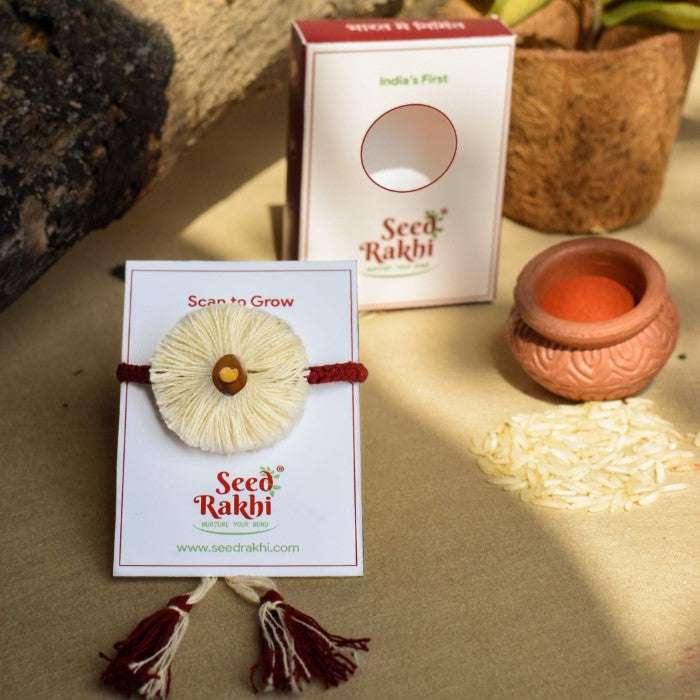Dhavala Eco-friendly Seed Rakhi (Seed: Sonapatti & Brinjal)