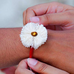 Dhavala Seed Rakhi, Planter, Notepad Gift Hamper