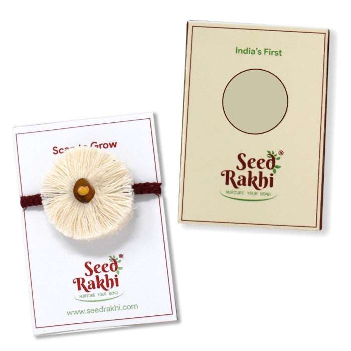 Dhavala Eco-friendly Seed Rakhi (Seed: Sonapatti & Brinjal)