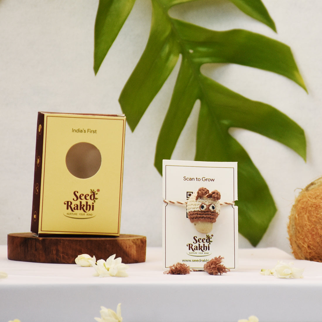 Eco-Friendly Dog Shape Kids Seed Rakhi