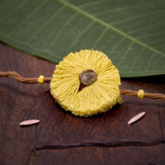 Sun Seed Rakhi Gift Hamper (Seed: Amaltash)