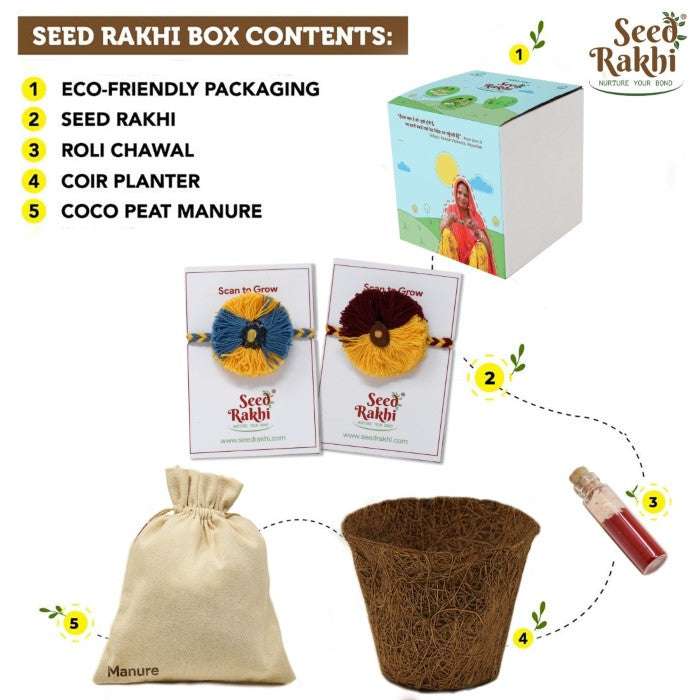 Jodhpuri and Saanjh Seed Rakhis Premium Hamper with Planter