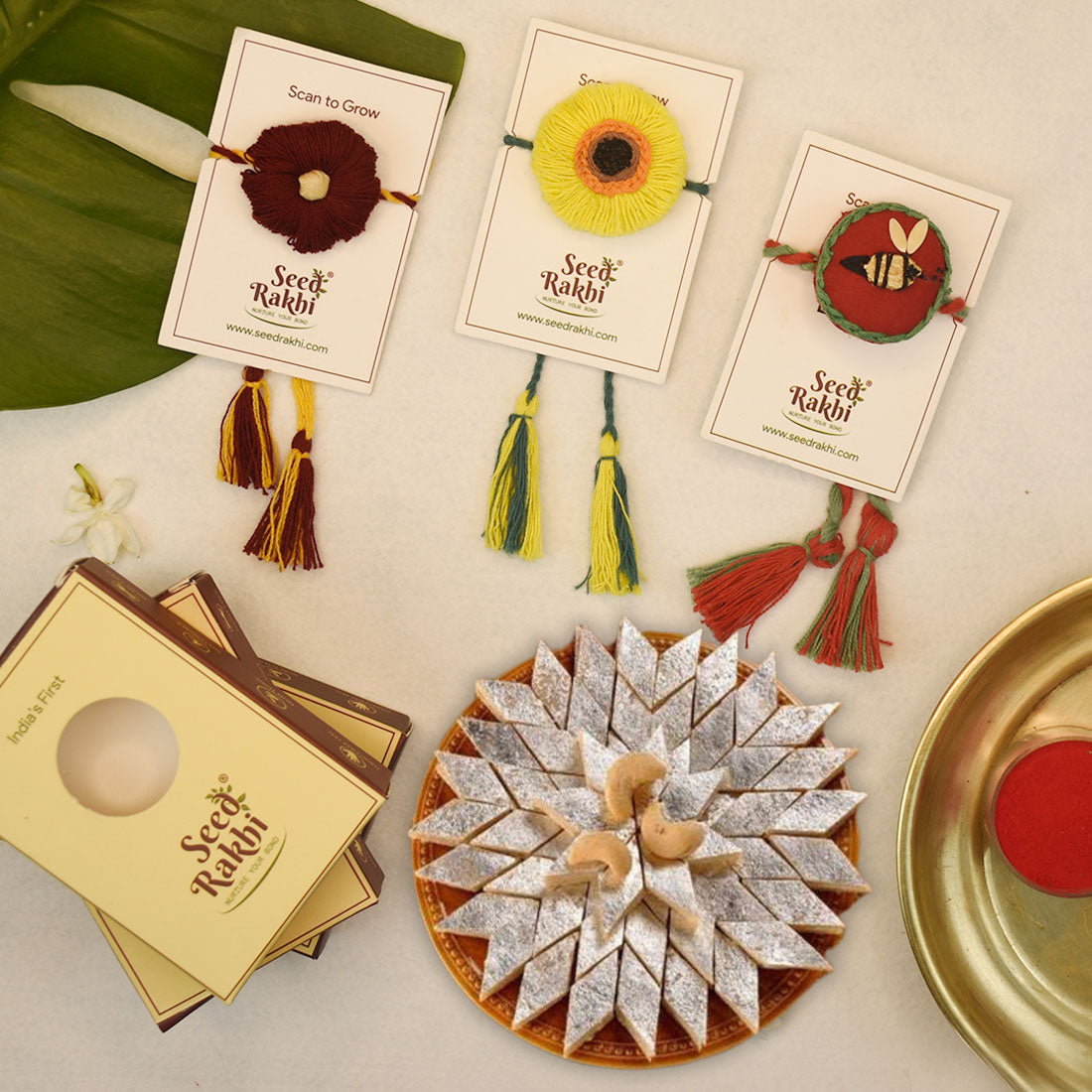 Seed Rakhi 3 Plantable Rakhi For Brother With Kaju Katali Box (Multi)