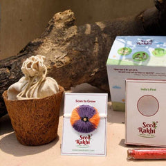 Jodhpuri Seed Rakhi with Planter Gift Hamper