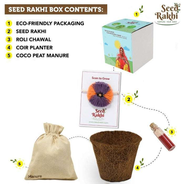 Jodhpuri Seed Rakhi with Planter Gift Hamper