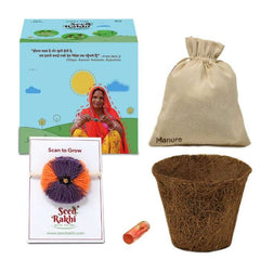 Jodhpuri Seed Rakhi with Planter Gift Hamper