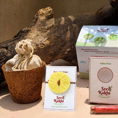 Sun Seed Rakhi with Planter Gift Hamper