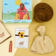 Teddy Bear with Bow Seed Rakhi with Planter Gift Hamper