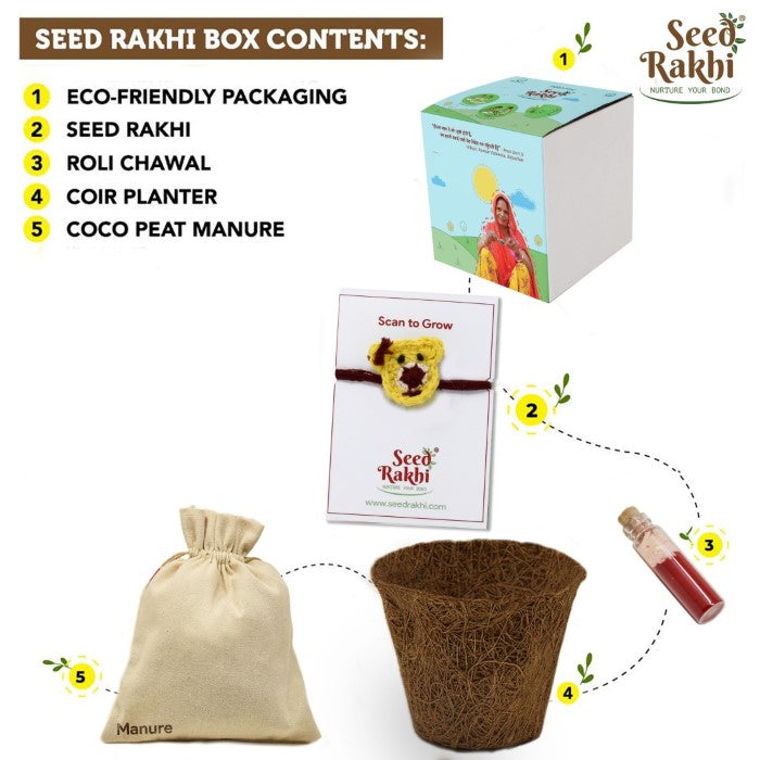 Teddy Bear with Bow Seed Rakhi with Planter Gift Hamper