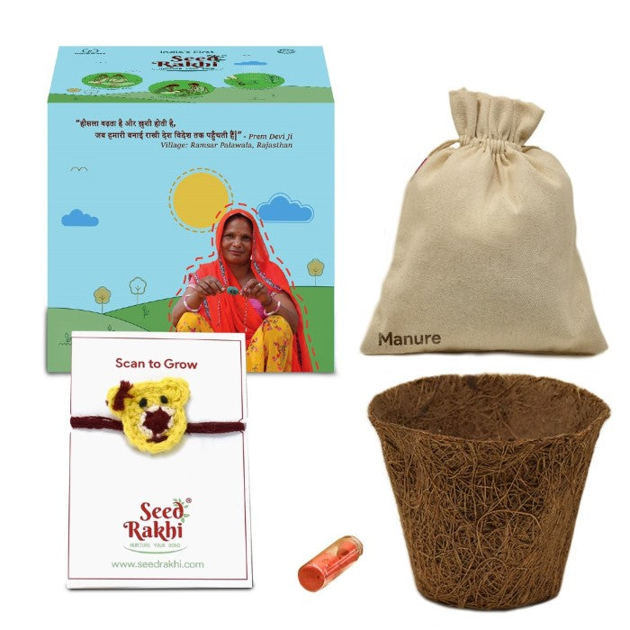 Teddy Bear with Bow Seed Rakhi with Planter Gift Hamper