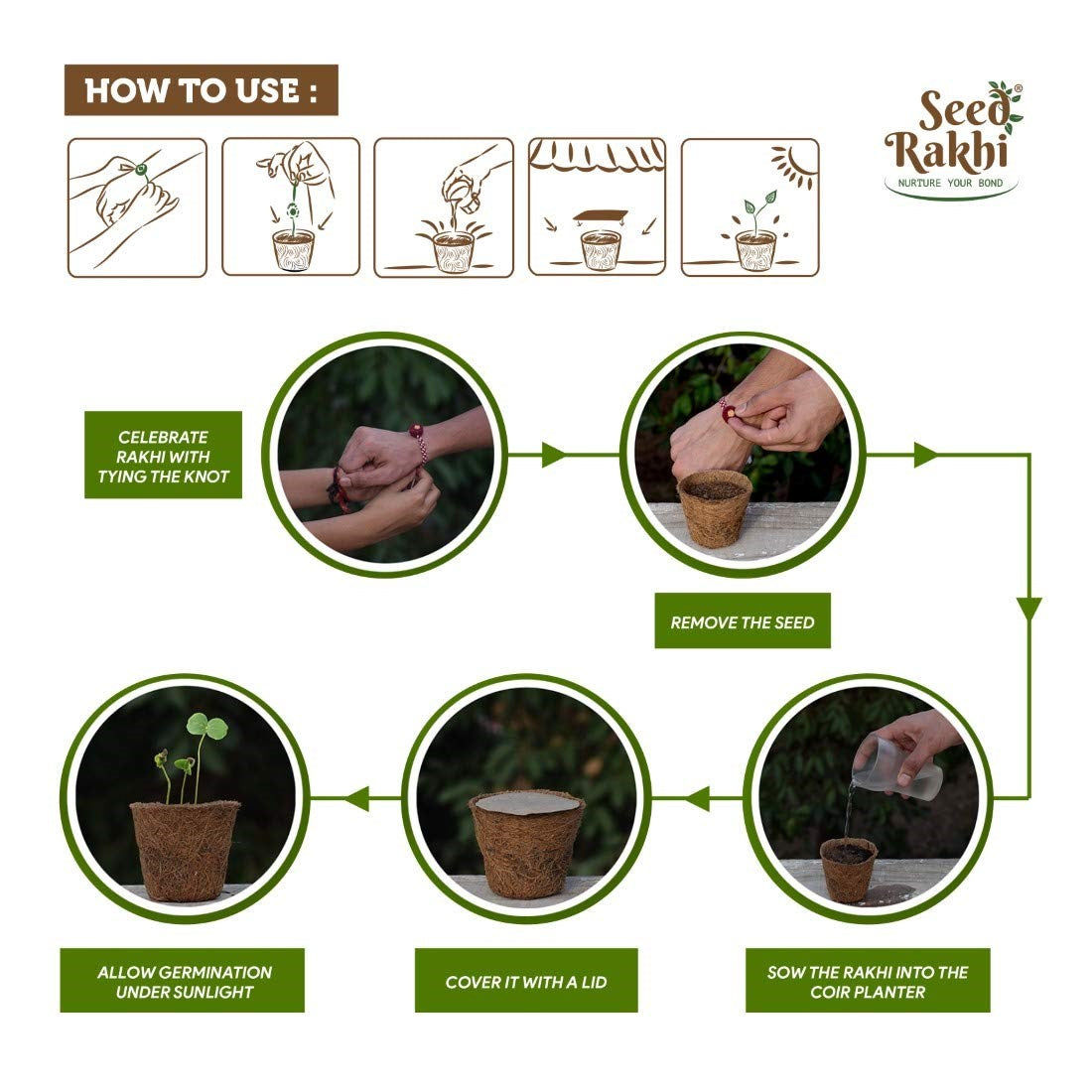 Eco-Friendly Bhindi Seeds Plantable Seed Rakhi with Planter and Roli