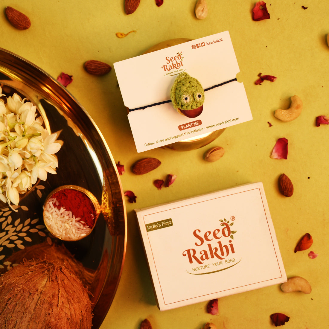 Eco-Friendly Plantable Frog Shape Seed Rakhi With Roli