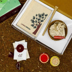 Red Seed Rakhi, Planter and Notepad Gift Hamper