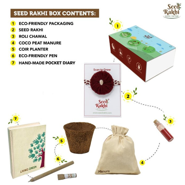 Swastika Seed Rakhi Planter and Notepad Gift Hamper