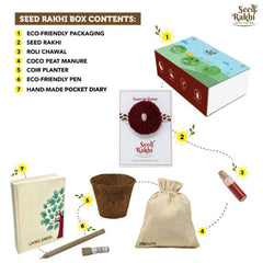 Red Seed Rakhi, Planter and Notepad Gift Hamper