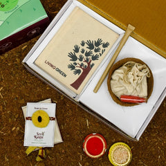 Yellow Organic Seed Rakhi with Planter and Diary