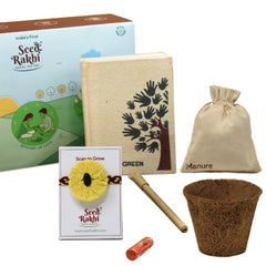 Yellow Organic Seed Rakhi with Planter and Diary