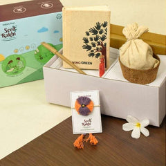 Jodhpuri Seed Rakhi Planter and Notepad Gift Hamper