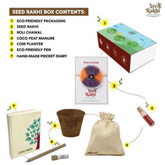 Jodhpuri Seed Rakhi Planter and Notepad Gift Hamper